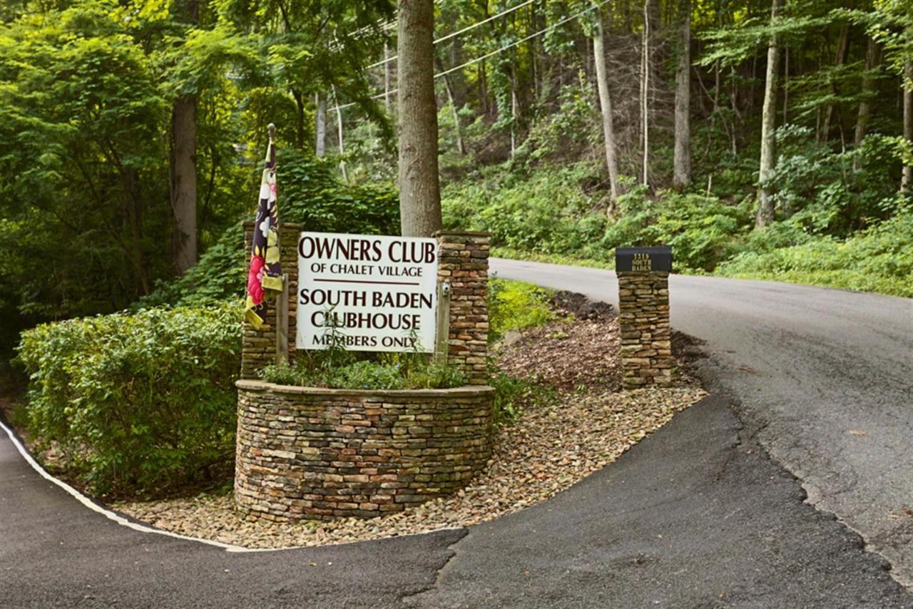 Mountain Springs Chalet ガトリンバーグ エクステリア 写真