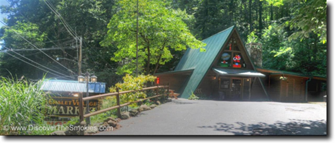 Mountain Springs Chalet ガトリンバーグ エクステリア 写真