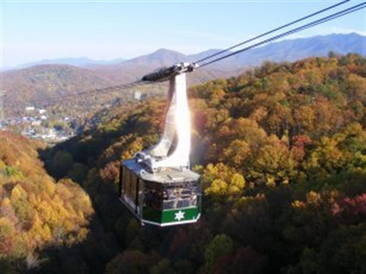 Mountain Springs Chalet ガトリンバーグ エクステリア 写真