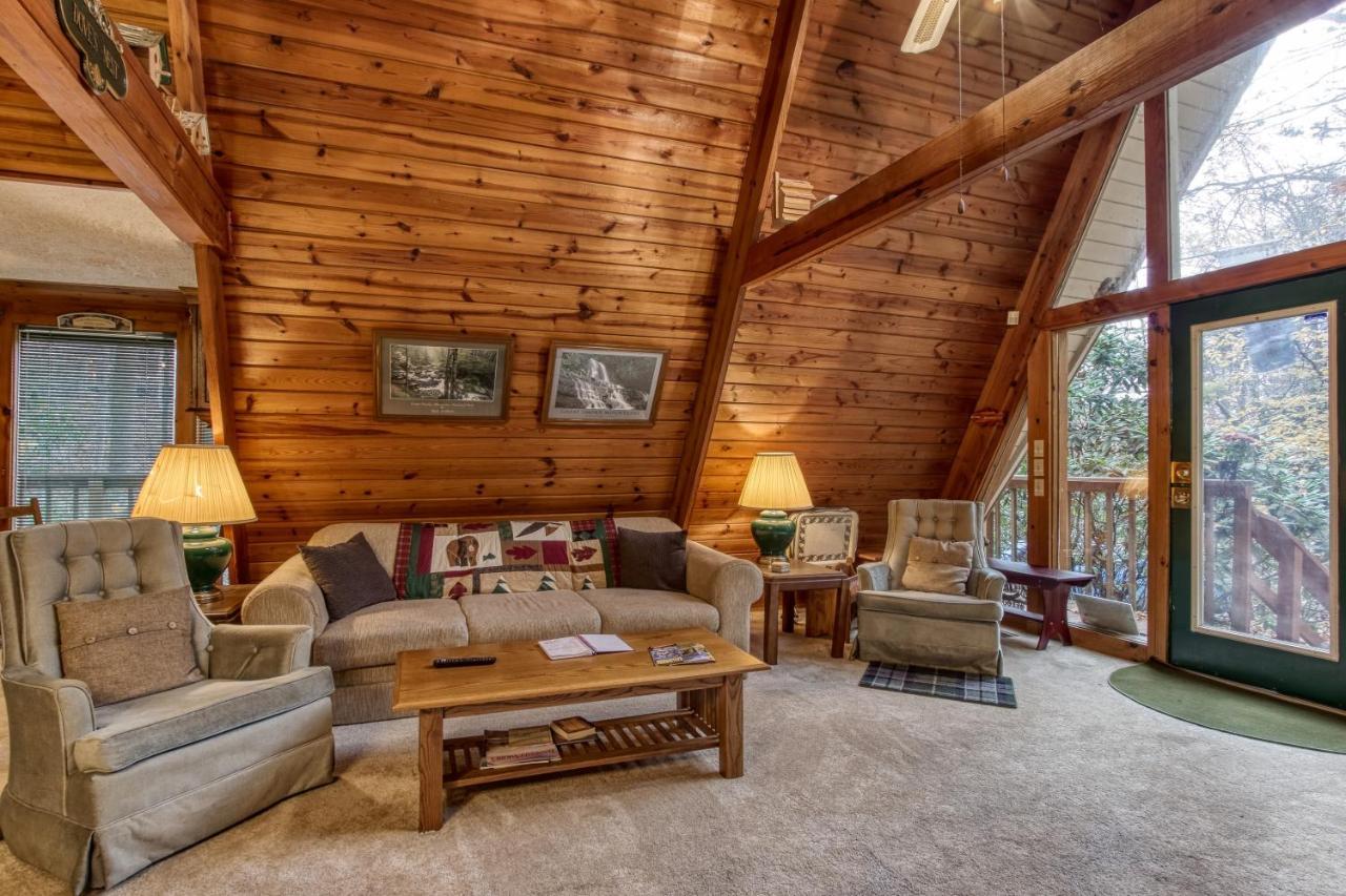 Mountain Springs Chalet ガトリンバーグ エクステリア 写真