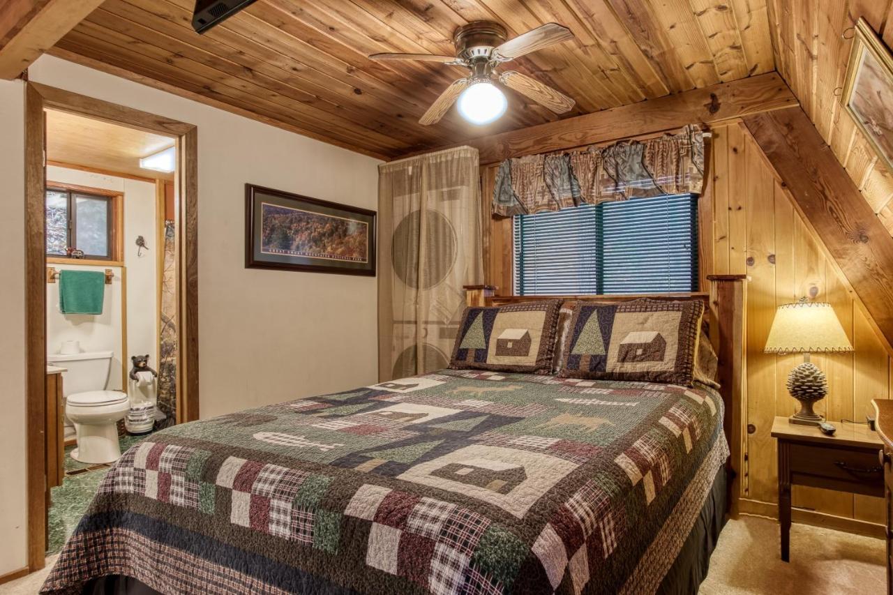 Mountain Springs Chalet ガトリンバーグ エクステリア 写真