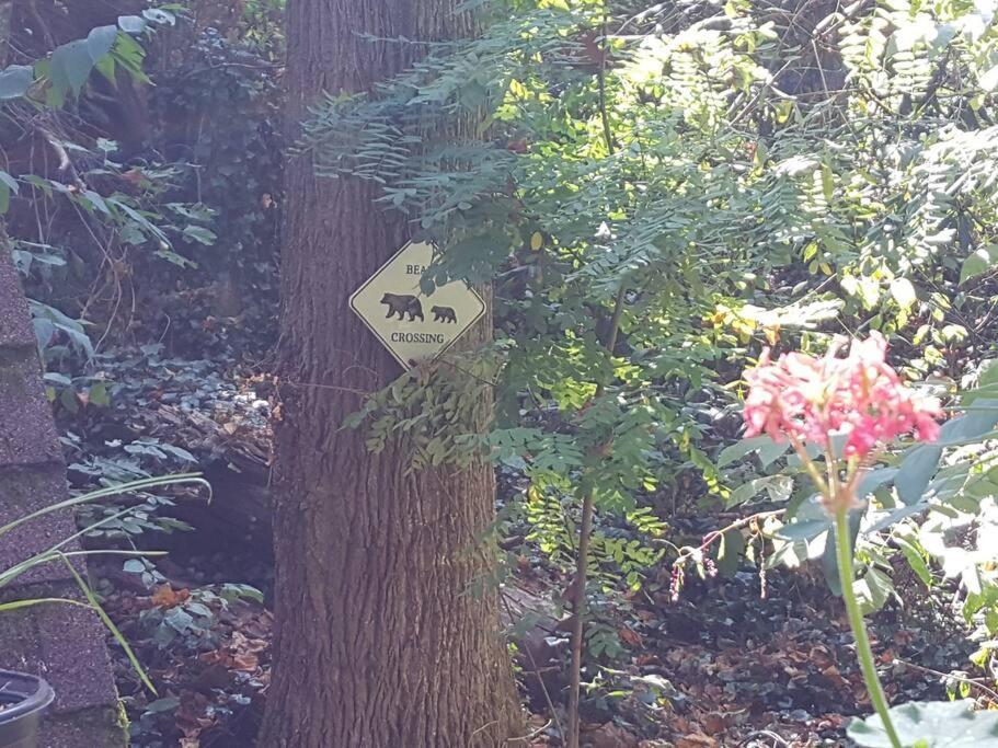 Mountain Springs Chalet ガトリンバーグ エクステリア 写真