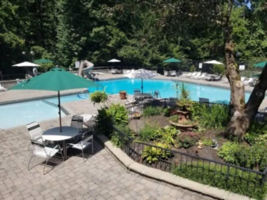 Mountain Springs Chalet ガトリンバーグ エクステリア 写真
