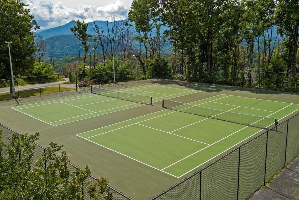 Mountain Springs Chalet ガトリンバーグ エクステリア 写真